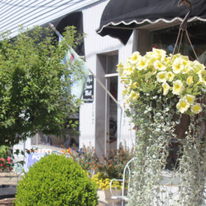 Photo of Lilly’s Pad in Lilly’s Corner Mall Photo of Lilly’s Pad in Lilly’s Corner Mall