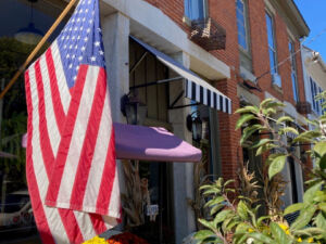 Logo for The Looking Glass Logo for The Looking Glass