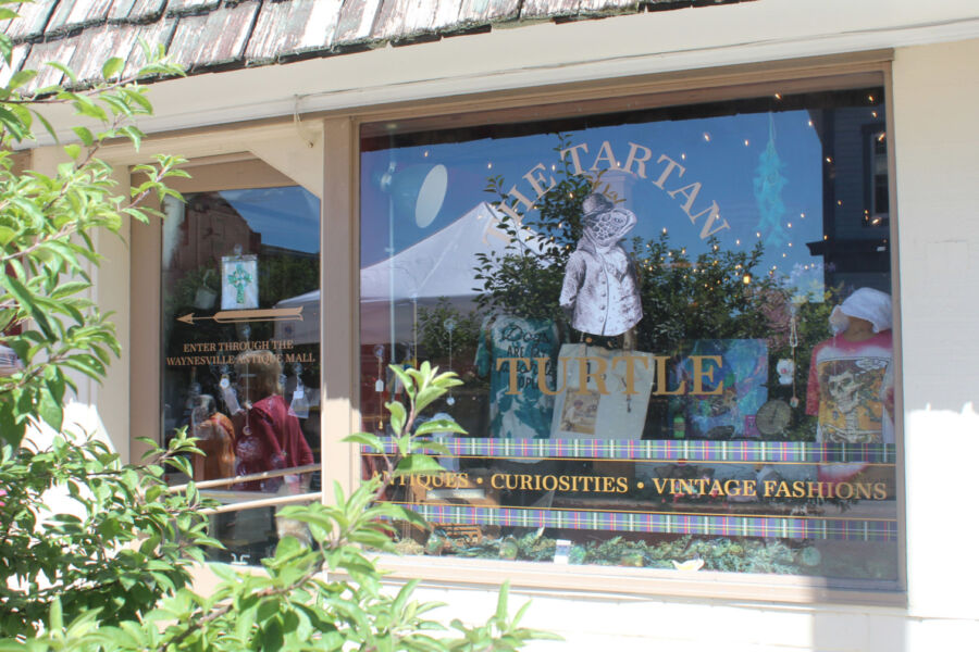 Photo of The Tartan Turtle Photo of The Tartan Turtle