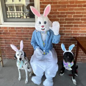 easter-bunny-hammel-house-waynesville-ohio