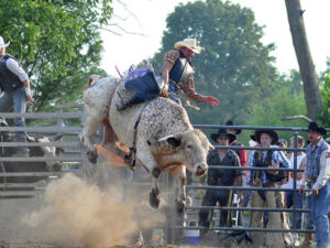Fox Hollow Rodeo | Area Venues, Events and Attractions | Downtown ...